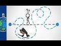 Why Do Birds Migrate Like This?