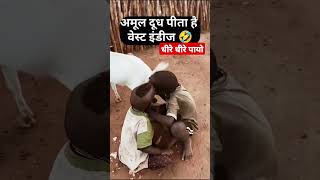 बकरी का दूध अमूल से बेस्ट