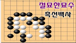 백을잡는 묘수를 찾아보세요 - 바둑문제 사활묘수