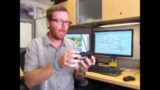 Tagging aquatic animals can disrupt natural behaviour