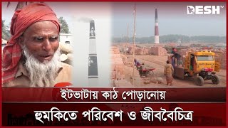 কুষ্টিয়ায় অবাধে চলছে অবৈধ ইটভাটা | Kushtia | Brickfields | News | Desh TV