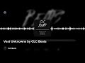 Vast Unknowns by CLC Beats