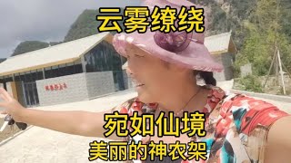 自驾湖北偶遇新疆大哥临时结伴神农架，风景如画云雾缭绕宛如仙境