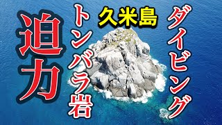 迫力のトンバラ岩ダイビング・久米島【4K映像】スキューバダイビング