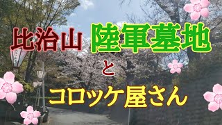 広島市陸軍墓地/比治山公園/コロッケ屋さん/桜