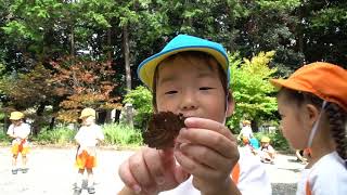 中央マドカ幼稚園 お散歩の時間