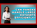Can Pandas Handle Large Datasets Efficiently? | Python Code School News