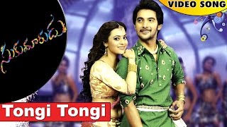 Tongi Tongi Video Song || Sukumarudu Movie Songs || Aadi, Nisha Agarwal