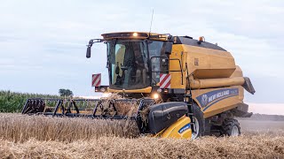 ŻNIWA 2022! UR Wilczyński - New Holland TC5.70