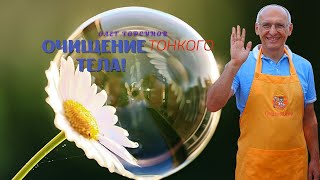 Очищение ТОНКОГО ТЕЛА! О.Г.Торсунов Смотрите без рекламы!