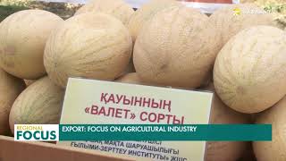 Turkistan's melons and watermelons are identified as one of the top export goods