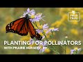 Planting for Pollinators with Prairie Nursery, Inc.