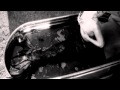 Lady Gaga-