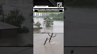 Street flooded, homes submerged after downpour in Gujarat’s Vadodara