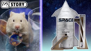 Hamster Starship - Future technology! 🚀 Homura Ham