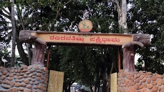 ರಂಗನತಿಟ್ಟು ಪಕ್ಷಿಧಾಮ Ranganathittu Pakshidhama