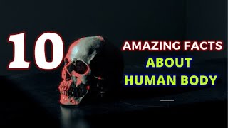 top 10 interesting facts on human body in tamil / மனித உடலைப் பற்றிய சில சுவாரஸ்ய தகவல்கள்!!!