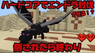 最終回！エンダードラゴン討伐へ【命は1つ】マイクラハードコアでエンドラ討伐できるのか リベンジ#2 10日目【Minecraft】