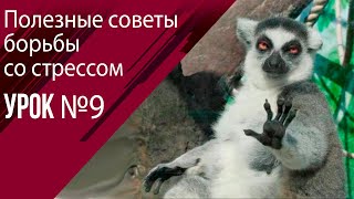 Урок 9 Способы борьбы со стрессом