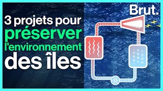 3 projets pour préserver l'environnement des îles