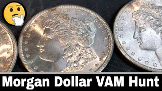 Morgan Dollar - Peace Dollar - Silver Purchase VAM Hunt