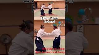 WOW!合氣 | さがって小手 : Moving Backward | 突き小手返し その二 Tsuki KoteGaeshi #2 : 間合い MaAi #合氣道 #martialarts #武道