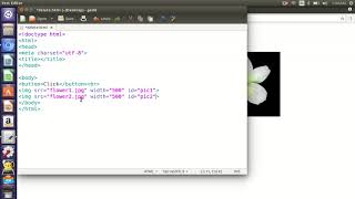 JavaScript DOM 5 - Deleting elements