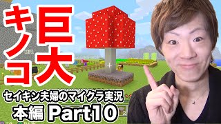 【マインクラフト】本編Part10 初めてのエンチャント！そして超巨大キノコ完成！【セイキン夫婦のマイクラ実況】