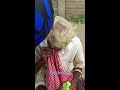 முதுமையின் போராட்டம்🥺 yttrendingvideos shorts tamil whatsapp emotional video grandfather sad