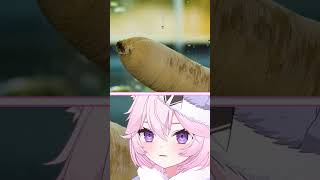 Nyanners Reacts to Geoduck