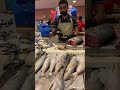 kuwait fish market very clean kuwaitfishmarket