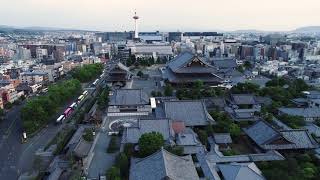 【真宗教団連合】宗派紹介 真宗大谷派 東本願寺　#ごえんさんエキスポ