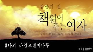 책읽어주는여자 [나의 라임오렌지나무] #3 오디오북 동화 낭독 ASMR Korean Book Reading