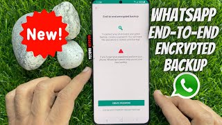 How to Turn on End to End Encrypted Backup on WhatsApp