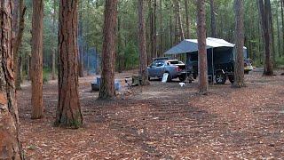 Solo camping at the Pines Campground in the Watagans in my camper trailer