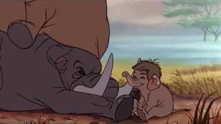 Colonel Hathi: An Elephant Never Forgets