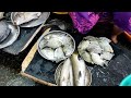 karwar fish 🐠🐋🐟market diwali vibes in karwar market