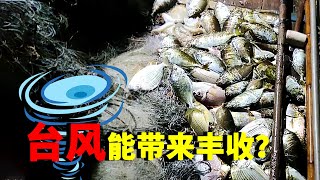 台风刚过彪哥就出外海捕鱼了，网拉完准备返航回去卖鱼，今天收获怎样【南澳岛记录员彪哥】