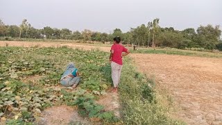 ऐसा क्यों बोला चाची ने की मेरे  पूरे खेत में मत घूमो 🤔😱😱