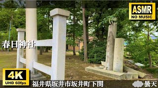 【福井県民しか知らない⁉️】春日神社 Kasuga Shrine／ASMR／福井県坂井市坂井町下関 JAPAN／観光／旅行