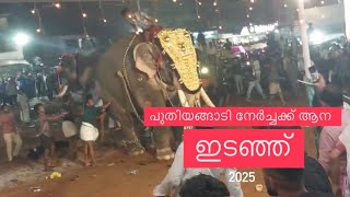 പുതിയങ്ങാടി നേർച്ചക്ക് ആന ഇടഞ്ഞ്😱😱😱#puthiyagadi #kunnamkulam #malappuram #news #2025 #new #thirur