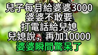 兒子每月給婆婆3000，婆婆不敢要，打電話給兒媳，兒媳說，再加10000，婆婆瞬間驚呆，多年後回到老家，兒子被震驚了#生活經驗 #情感故事 #退休生活 #老年生活 #晚年生活  #子女不孝