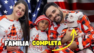 Como levar seu cachorro para os Estados Unidos? Entenda agora o passo a passo!