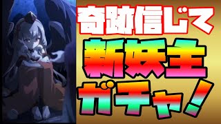 ラグナド】鞍馬天狗！新妖主　奇跡を信じてガチャ！ちょいオタ　のぶちゃん【ラグナドール】