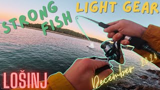 Light shore fishing (spinning) Croatia | December 2024 |