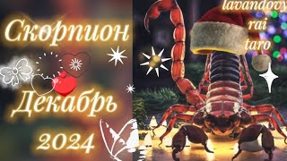 Скорпион 🦂.Декабрь 2024❄️.Затишье перед броском 👍💯.#скорпион #таропрогноз #магия #гадание #таро