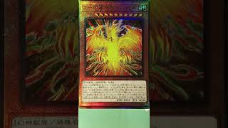 【遊戲王デュモンスターエルズ】【PRISMATIC GOD BOX 】『拉的翼神龍不死鳥』浮雕.レリーフ欣賞『The Winged Dragon of Ra - Immortal Phoenix[』