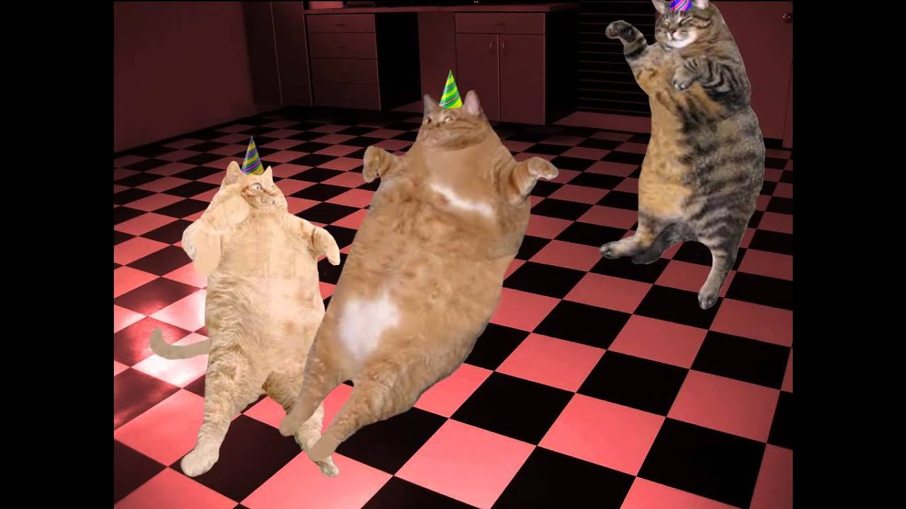 Kitty Cat Dance Original Meme