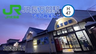 道南・長万部駅付近おさんぽ動画（2023.9.1）