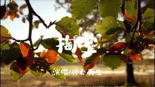 掏空-梓乔先生「我一个人回头 眼泪止不住地泪流」【动态歌词/Vietsub/Pinyin Lyrics】